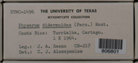 Image Associated With the Occurence